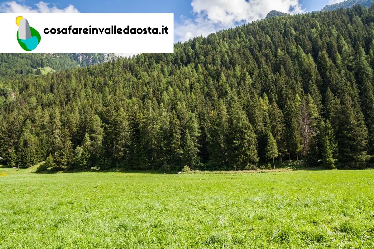 cosa-fare-valle-daosta-val-dayas